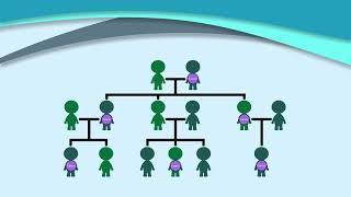 Hereditary Cancer and Genetic Testing