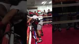 Rolando Romero sparring causes a riot in the Mayweather Boxing Club