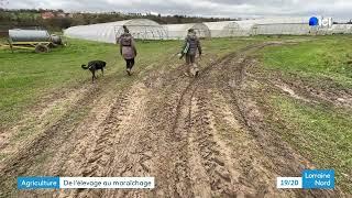 De l'élevage au maraichage bio : le pari réussi d'un couple d'agriculteurs
