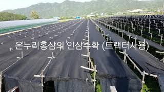 안녕하세요. 온누리홍삼입니다^^  인삼수확하는 방법은 크게 두가지가 있습니다. 직접 사람이 괭이로 수확과 트랙터로 수확하는 방법. 우선 트랙터로 수확하는 과정 동영상입니다.  #트