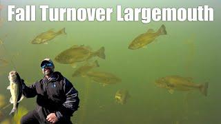 24 Hour Fall Largemouth Bass Mastery Challenge