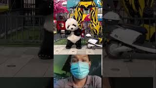 Dancing cute panda   #trending #viral #shorts