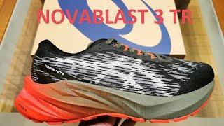 ASICS Novablast 3 TR (1011B568-300)