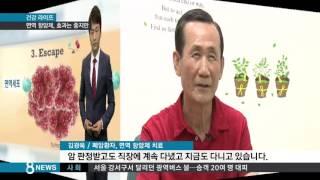 폐암 잡는 면역항암제 '괜찮네'…문제는 가격 / SBS