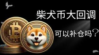 柴犬币 Shib币  比特币 BTC 区块链 加密货币 最新行情走势分析，柴犬币或可能回到.000014? 比特币还能再度冲击108k吗