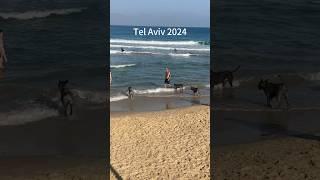 Tel Aviv the weekend before Iran attack  Israel at war   #travel #telaviv