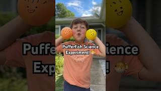 Pufferfish Science Experiment!  #momlife #scienceexperiment #science #learningthroughplay #shorts