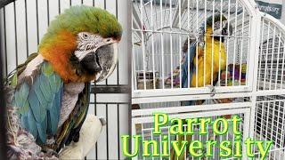 Parrot University Pineville North Carolina | Parrot Retail Store  | Parrot University Tour 2022