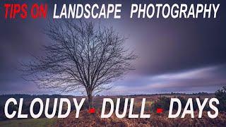 CLOUDY DULL DAYS | LANDSCAPE PHOTOGRAPHY  |  THE NEW FOREST