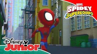 Marvel Spidey y su Superequipo: Spidermisterio | Disney Junior Oficial
