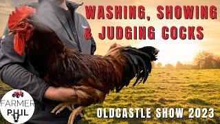 WASHING MY COCK FOR THE SHOW | OLDCASTLE SHOW 2023