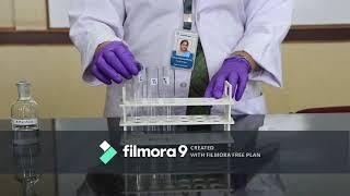 Assay of Amylase Enzyme by Colorimetry