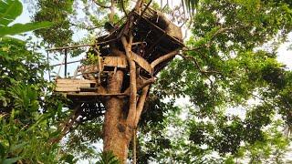 Nekad ‼️ Seorang Pemuda Memilih Tinggal Sendiri Di Rumah Pohon Tanpa Listrik Di Tengah Hutan
