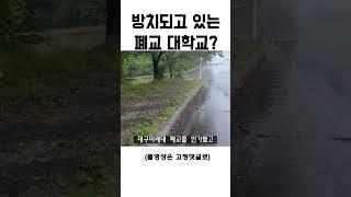 방치되어 흉물로 남아있는 폐교대학?