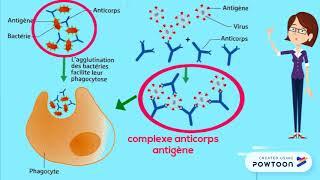 Réaction immunitaire spécifique