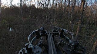 BUCK DOWN - SOUTHWEST OHIO BOW HUNTING #ohiodeerhunt #ohiobuck