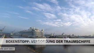 Versorgung und Abfertigung der Traumschiffe-Kreuzfahrtschiffe im Hafen Hamburg | NDR Doku