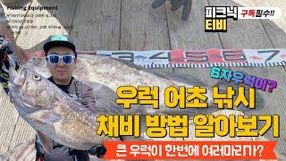 [피크닉TV]초보조사도 한번에 여러마리 낚는 흑산도 대물우럭 어초낚시