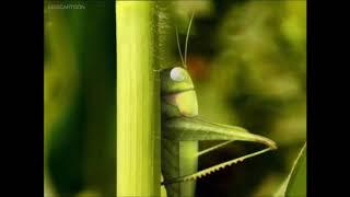 minuscule catapulte