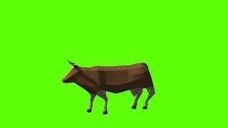 Cow   Green Screen Video No Copyright  Subscribe Cow Walk