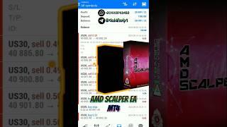 AMD SCALPER EA MT4 2024 Automated Forex Robot الاكسبرت الأكثر ربحا في الفوركس