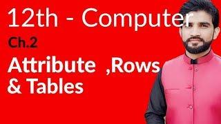 ICS Computer Part 2, Ch 2 - Attribute,Rows & Table - Inter Part 2 Computer