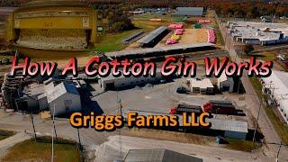 How A Cotton Gin Works