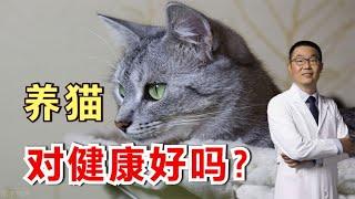 养猫，能预防癌症！这是真的吗？听听医生怎么说