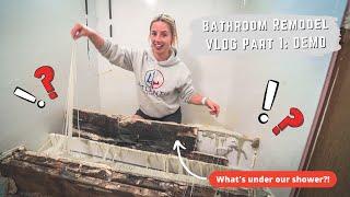 Bathroom Renovation | Vlog series Pt. 1 - Demo