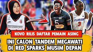 INI CALON TANDEM MEGAWATI DI RED SPARKS, KOVO RILIS NAMA PEMAIN ASING