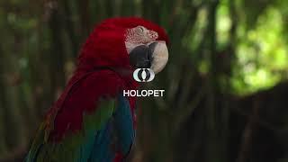 Holopet