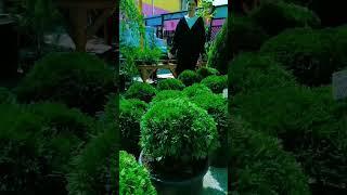 Наш молодой эксперт Анастасия расскажет о туе Даника!