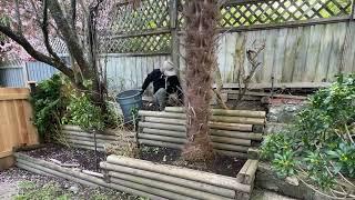 Clearing Out Multiple Tier Gardens-Raking, Weeding & Cultivating :)