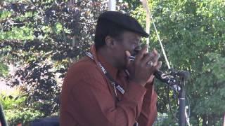 Terry Harmonica Bean - Catfish Blues (harp)