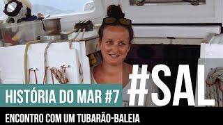 ENCONTRO COM UM TUBARÃO-BALEIA | #SAL HISTORIA DO MAR #7