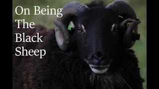 The Truth About Being The Black Sheep