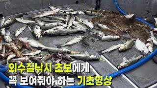 왕초보 낚시인을 위한 선상낚시 기초영상 생새우 외수질낚시 편