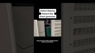 250kW Weichai Natural Gas Silent Generator Set