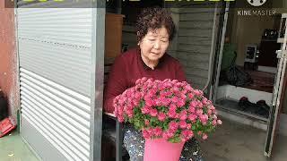 광주시 북구_우산종합사회복지관) 사랑은 꽃을 싣고