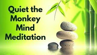 Guided Meditation to Quiet and Tame the Monkey Mind