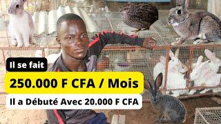 Entrepreneuriat: L'élevage : Le business qui va te rendre riche (Entrepreneuriat en Afrique)