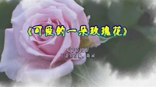 《可爱的一朵玫瑰花 》伴奏