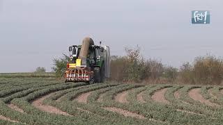 Neue Erntemaschine bei Bombastus Werken im Einsatz