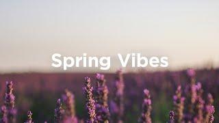 Spring Vibes Playlist  Chill Tracks for Springtime Walks 