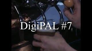 DigiPAL #7