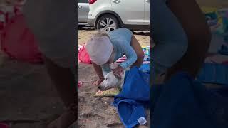 Uma menininha viralizou nas redes sociais ao compartilhar um vídeo com seu cachorrinho na praia