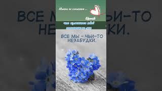 Ты хочешь знать любила ли я тебя #любовь #хочешь #знать