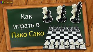 Как играть в Пако Сако (Мирные шахматы)
