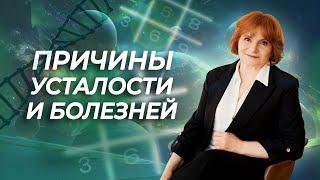 Как поддерживать в своем организме энергетические потоки? Ключ к долголетию и благополучию