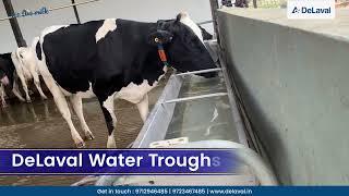 DeLaval Dairy Fan and Water Drinking Bowls